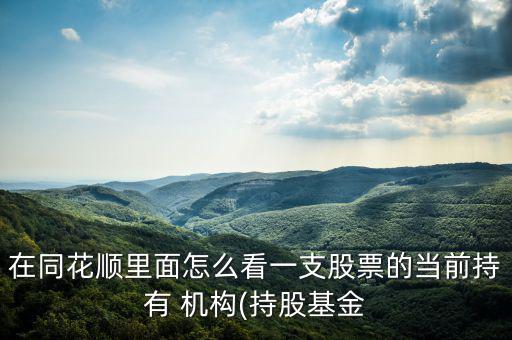在同花順里面怎么看一支股票的當(dāng)前持有 機(jī)構(gòu)(持股基金
