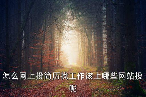 怎么網(wǎng)上投簡(jiǎn)歷找工作該上哪些網(wǎng)站投呢