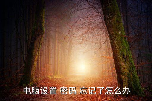 電腦設置 密碼 忘記了怎么辦