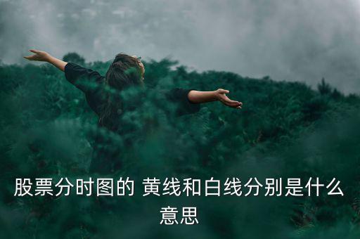 歌華有線有線分時(shí)黃線怎么看,股市分析（四）