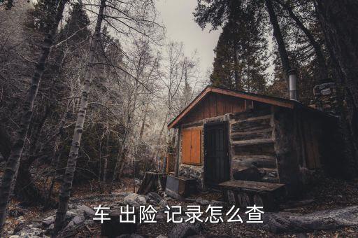 怎么查車(chē)險(xiǎn)出險(xiǎn)記錄,保險(xiǎn)公司新功能有哪些?