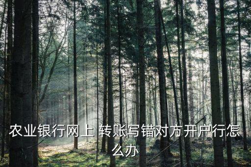 農(nóng)行轉(zhuǎn)賬錯誤怎么辦,銀行網(wǎng)上轉(zhuǎn)賬打錯對方銀行有兩種結果