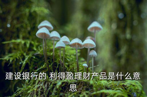建行利得盈怎么樣,建行系列人民幣理財產(chǎn)品利得盈推出新功能