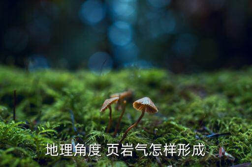 怎么開采頁(yè)巖氣,頁(yè)巖天然氣開采后將形成頁(yè)巖gas