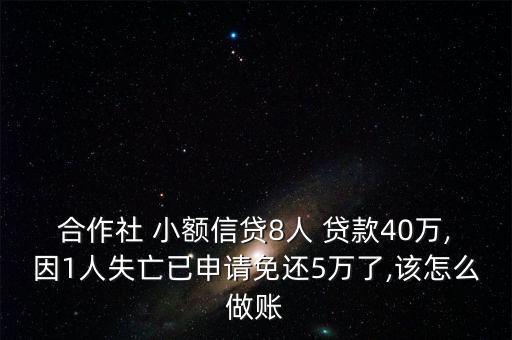 小額貸款公司怎么做帳,出納和會計(jì)不是同個人應(yīng)分開記賬和報(bào)稅