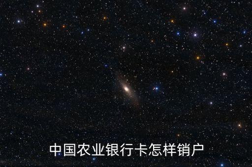 中國(guó)農(nóng)業(yè)銀行卡怎樣銷(xiāo)戶