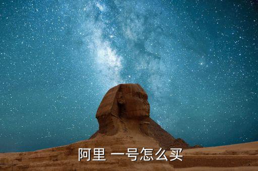阿里一號怎么買,新華-1號封閉期18個月只保本不承諾收益