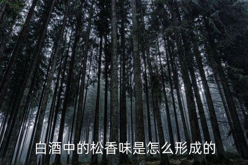  白酒中的松香味是怎么形成的