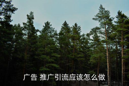 廣告 推廣引流應該怎么做