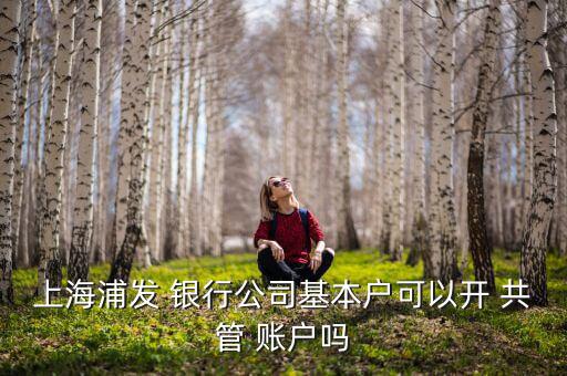 上海浦發(fā) 銀行公司基本戶可以開(kāi) 共管 賬戶嗎