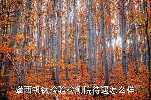 攀西釩鈦檢驗(yàn)檢測(cè)院待遇怎么樣