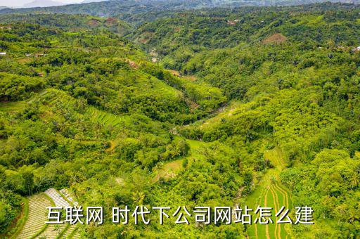 互聯(lián)網(wǎng) 時代下公司網(wǎng)站怎么建