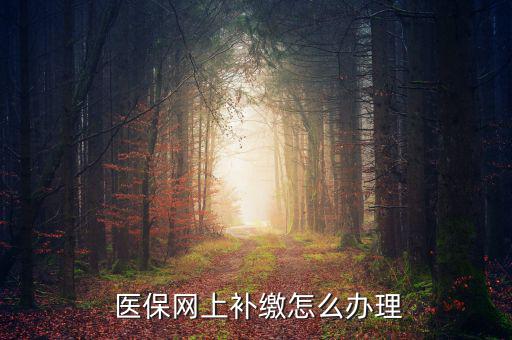 怎么補(bǔ)交醫(yī)保,因個(gè)人原因斷了社?？缮暾?qǐng)公司為自己繳納費(fèi)用