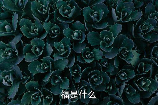 福是什么