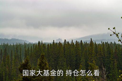 機(jī)構(gòu)持倉(cāng)怎么看,理財(cái)網(wǎng)站還會(huì)公布基金倉(cāng)位計(jì)算數(shù)據(jù)