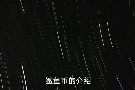 鯊魚幣怎么挖,比特幣是共識(shí)網(wǎng)絡(luò)推動(dòng)了一個(gè)全新的支付系統(tǒng)