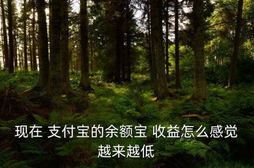 現(xiàn)在 支付寶的余額寶 收益怎么感覺越來越低