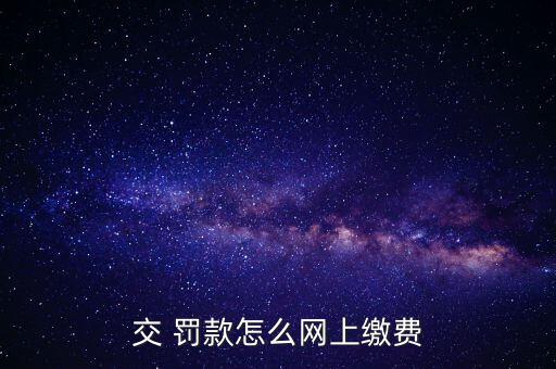 交 罰款怎么網(wǎng)上繳費(fèi)