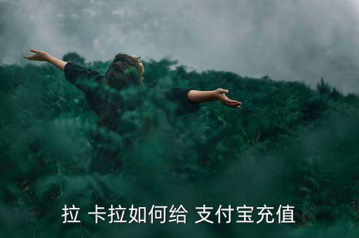 拉卡拉怎么充支付寶,手機(jī)通過拉卡拉刷卡向支付寶注資