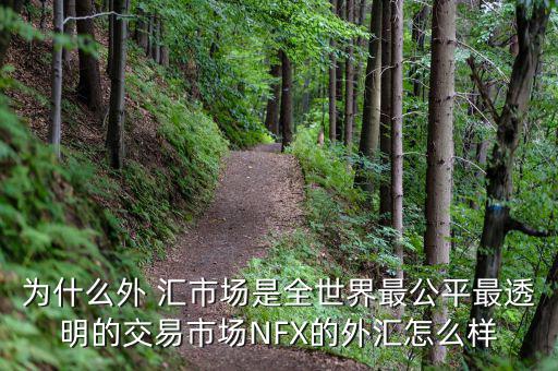 為什么外 匯市場是全世界最公平最透明的交易市場NFX的外匯怎么樣