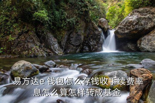  易方達(dá)e 錢包怎么存錢收手續(xù)費(fèi)率息怎么算怎樣轉(zhuǎn)成基金