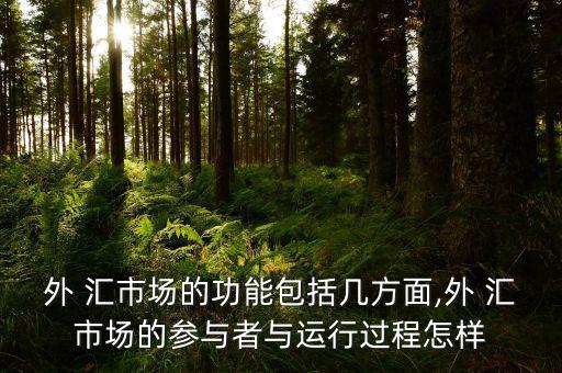 外 匯市場的功能包括幾方面,外 匯市場的參與者與運行過程怎樣