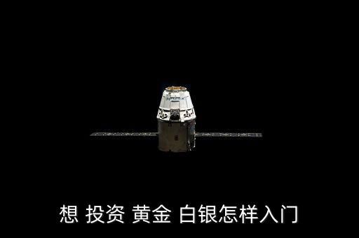 想 投資 黃金 白銀怎樣入門