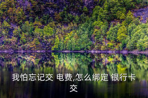 銀行卡交電費怎么交,公共事業(yè)繳費首次網(wǎng)上辦理手續(xù)