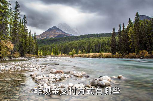非現金轉賬怎么轉,19日起個人可通過各種方式轉賬公司賬戶