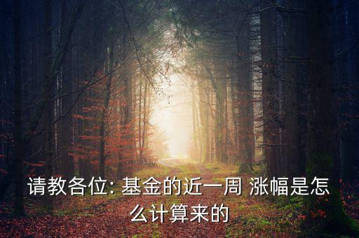 請教各位: 基金的近一周 漲幅是怎么計算來的