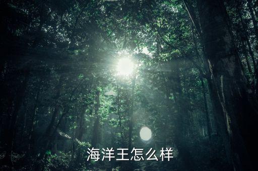  海洋王怎么樣