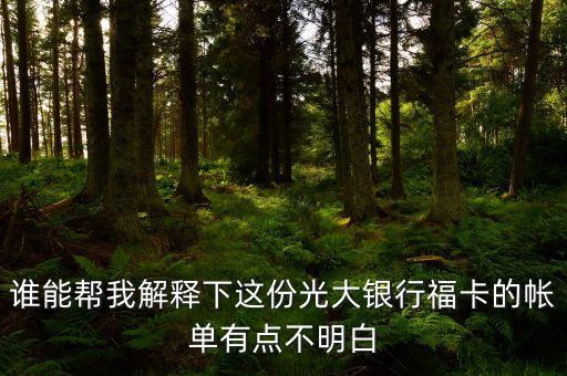 光大的賬單明細(xì)都什么意思，誰能幫我解釋下這份光大銀行?？ǖ膸斡悬c(diǎn)不明白
