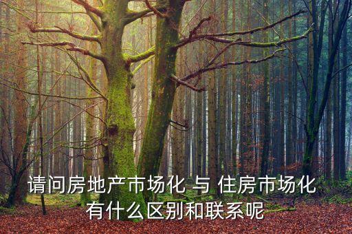 什么是房地產(chǎn)市場化，房地產(chǎn)市場分化甚么意思