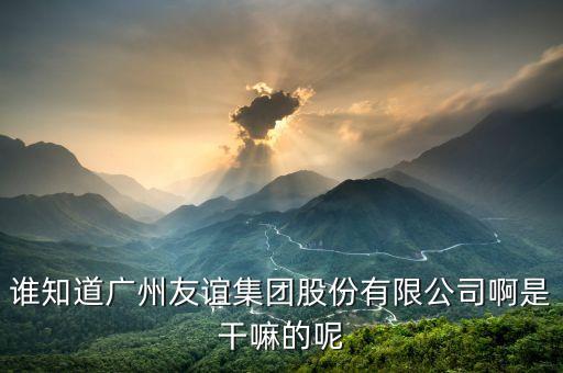 廣州友誼是做什么的，誰知道廣州友誼集團股份有限公司啊是干嘛的呢