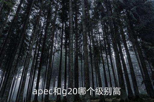 國際貿易額由什么組成，國際貿易額和對外貿易額兩者的區(qū)別