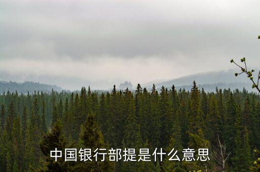銀行部提什么意思，中國銀行部提是什么意思