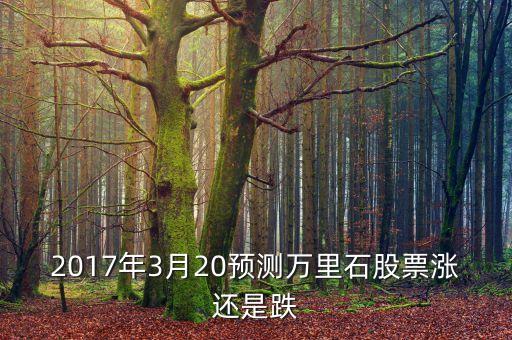 2017年3月20預(yù)測(cè)萬(wàn)里石股票漲還是跌