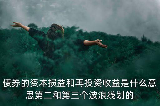 債券的資本損益和再投資收益是什么意思第二和第三個波浪線劃的