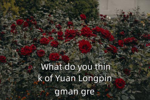  What do you think of Yuan Longpingman gre
