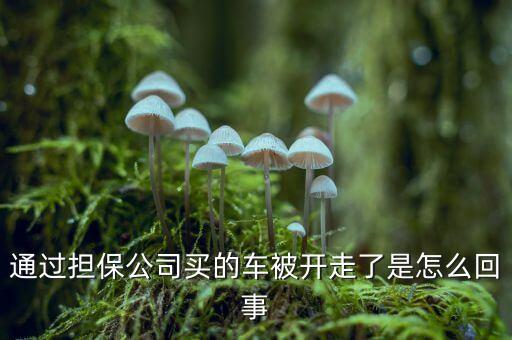 擔(dān)保公司為什么跑，這是擔(dān)保公司又跑一個(gè)的節(jié)奏嗎 求證實(shí)
