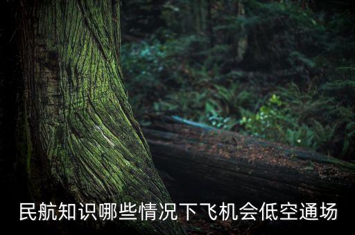 什么是低空航線，哪些情況下飛機(jī)會(huì)低空通場(chǎng)