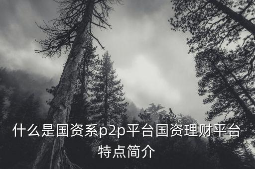什么是國(guó)資流動(dòng)平臺(tái)，國(guó)資是什么意思這樣的平臺(tái)是不是有很多