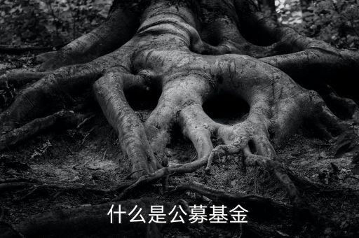 什么是公募基金，基金入門什么是公募基金