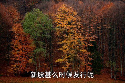 新股甚么時候發(fā)行呢