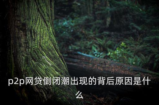 p2p網(wǎng)貸倒閉潮出現(xiàn)的背后原因是什么