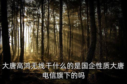 大唐電信是干什么的，成都大唐電信具體在什么位置待遇如何呢