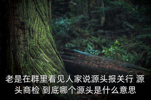 老是在群里看見人家說源頭報關(guān)行 源頭商檢 到底哪個源頭是什么意思