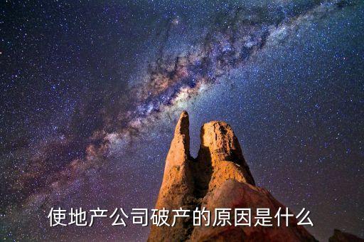 使地產(chǎn)公司破產(chǎn)的原因是什么