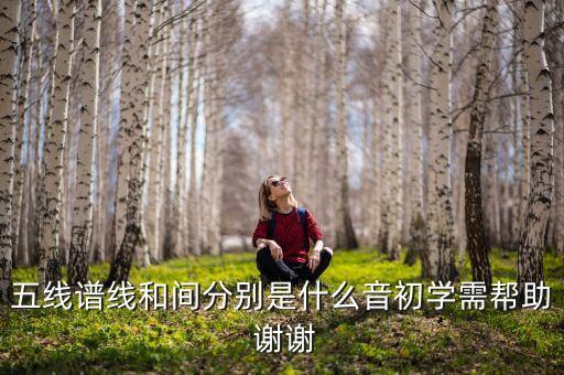 什么是花括線，花括號什么意思