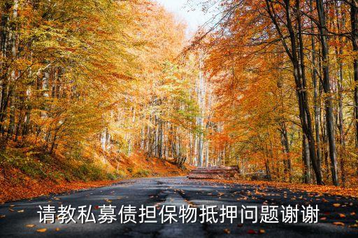 私募債拿什么做抵押，請教私募債擔保物抵押問題謝謝
